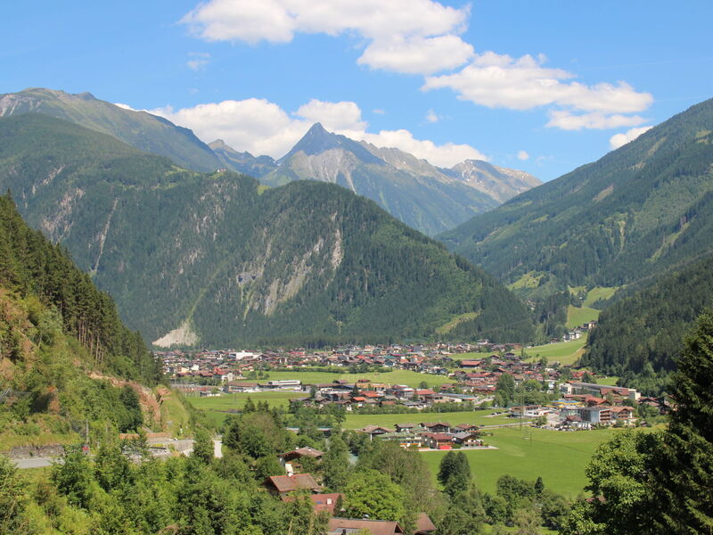 Hauser