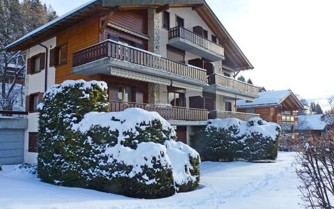 Roc Lyv: Sneeuw, Winter, Huis, Eigendom, Huis, Onroerend Goed, Freezing, Gebouw, Woongebied, Architectuur