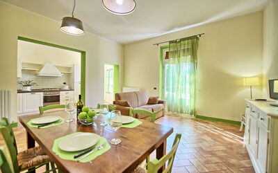 Accommodatie:&nbsp;Artisti 4