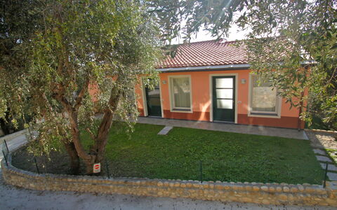 Imperia 530: Fabriek, Gebouw, Venster, Huis, Land Lot, Verblijf, Boom, Weg Oppervlak, Gras, Schaduw