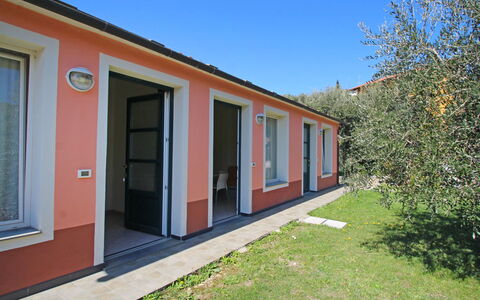 Imperia 530: Fabriek, Lucht, Venster, Gebouw, Schaduw, Land Lot, Deur, Hout, Gras