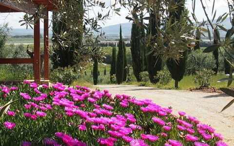 Villa Giulia Follonica: Bloem, Fabriek, De Lente, Tuin, Magenta, Roze, Botanische Tuin, Plantkunde, Boom, Bloeiende Plant