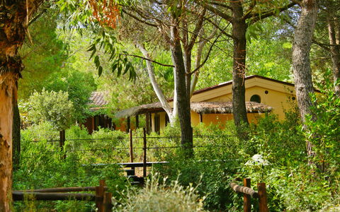 Castiglione della Pescaia 130: Fabriek, Plantengemeenschap, Gebouw, Boom, Blad, Venster, Natuurlijk Landschap, Hout, Vegetation, Land Lot