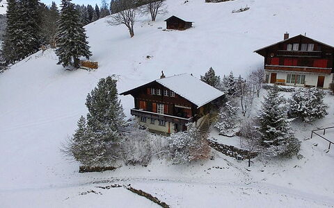 Wengen 150: Sneeuw, Lucht, Venster, Gebouw, Natuur, Berg, Helling, Huis, Boom, Wereld