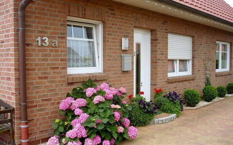 Reissmann: Bloem, Fabriek, Venster, Gebouw, Huis, Deur, Muur, Gras, Metselwerk, Onroerend Goed