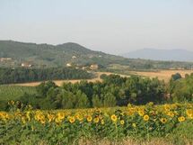 landscape 1