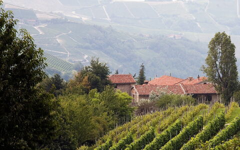 Borgo del Riondino: Vegetation, Heuvel Station, Atmosferisch Fenomeen, Hoogland, Landelijk Gebied, Plantage, Heuvel, Berg, Boom, Bergdorp
