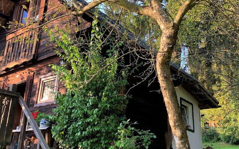 Reserl: Fabriek, Gebouw, Boom, Groen, Afdeling, Venster, Plantkunde, Bloempot, Huis, Trap