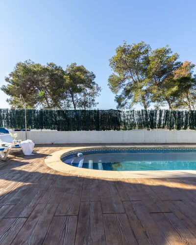 Gaviota 4