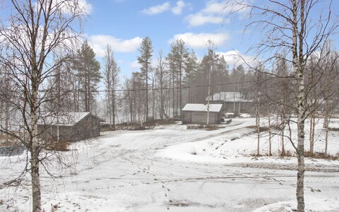 Suopursu: Boom, Winter, Afdeling, Sneeuw, Hout, Huis, Huis, Takje, Verblijf, Freezing