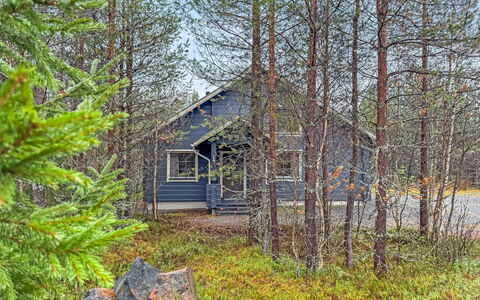 Mäntyrinne: Boom, Hout, Afdeling, Verblijf, Bos, Land Lot, Trunk, Woud, Takje, Blokhut