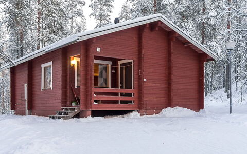 Viipusjärvi 11: Hout, Huis, Winter, Verblijf, Freezing, Sneeuw, Blokhut, Siding, Lariks