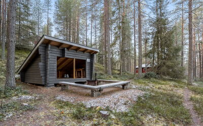 Viipusjärvi 12