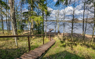 Järvilehto