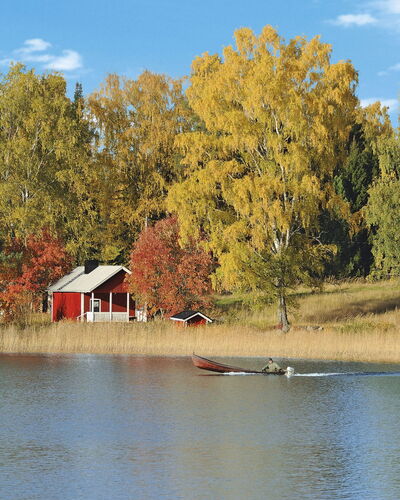 Liisakallela
