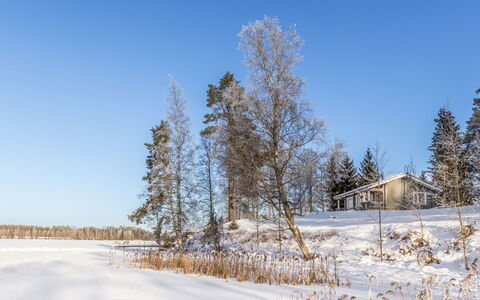 Iltarusko: Blauw, Afdeling, Boom, Winter, Sneeuw, Takje, Landschap, Freezing, Verblijf, Ochtend