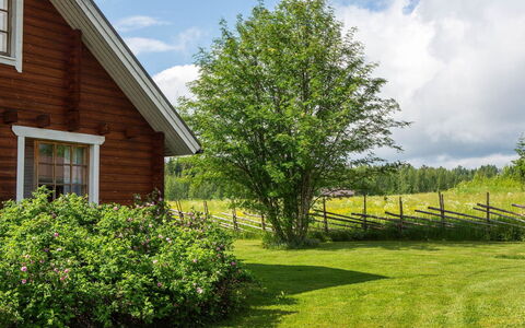 Ranta-Lemettilä: Huis, Verblijf, Dak, Landgoed, Schaduw, Boerderij, Gazon, Landscaping, Tuin, Werf