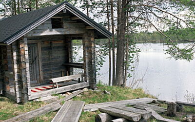 Mustikkainen