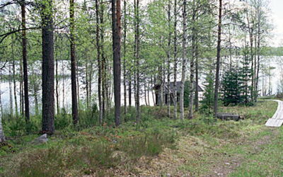 Mustikkainen
