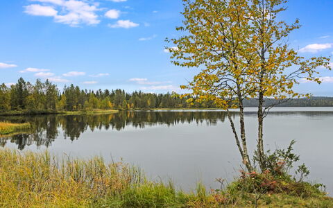 Varilan Lomamajat Nr1: Water, Watervoorraden, Groen, Zwemwater, Natuur, Natuurlijke Omgeving, Boom, Natuurlijk Landschap, Blad