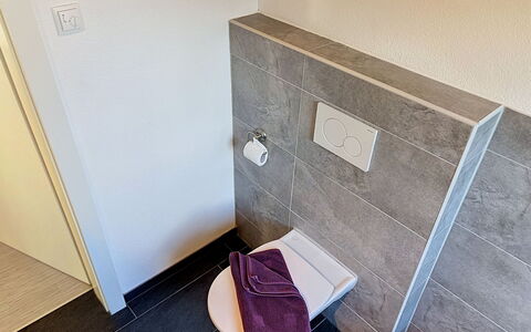 Am Arlberg: Flooring, Verdieping, Loodgieterswerkinrichting, Badkamer, Tegel, Toilet, Loodgieter