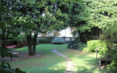 Accommodatie:&nbsp;Azalea 200.20