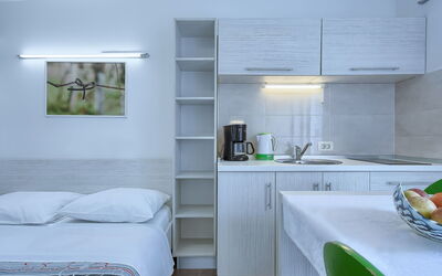 Accommodatie:&nbsp;Nika 109.9
