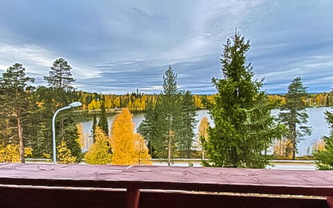 Länsirinne C 12: Lariks, Evergreen, Avond, Pine Family