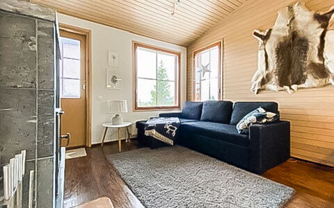 Länsirinne C 12: Meubilair, Flooring, Interieur Ontwerp, Verdieping, Bankstel, Hout, Woonkamer, Houten Vloer, Plafond, Kamer
