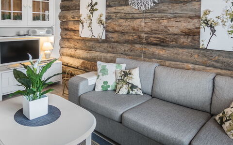 Revonaapa B13: Meubilair, Interieur Ontwerp, Hout, Flooring, Bankstel, Woonkamer, Huis, Tafel, Verdieping, Kamer