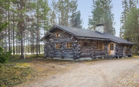 Rukakolo: Hout, Dak, Verblijf, Huis, Blokhut, Huis, Hut, Siding, Lariks