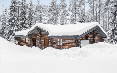 Rantaruka 4D1: Hout, Verblijf, Blokhut, Woud, Schuur, Garden Gebouwen, Lariks, Bos, Beits