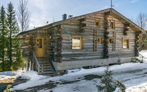 Rinnekieppi 2: Hout, Verblijf, Blokhut, Woud, Schuur, Garden Gebouwen, Lariks, Bos, Beits