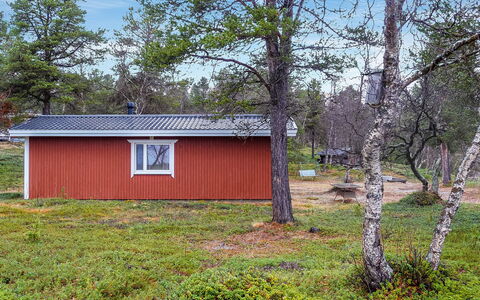 Mellaniemi: Hout, Verblijf, Blokhut, Woud, Schuur, Garden Gebouwen, Lariks, Bos, Beits