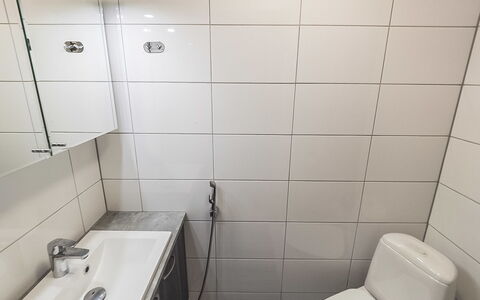 Kiela 2: Hout, Verblijf, Blokhut, Woud, Schuur, Garden Gebouwen, Lariks, Bos, Beits
