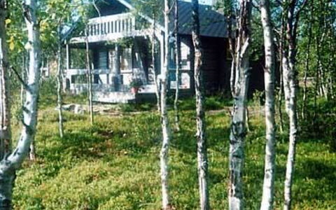Juolukka: Boom, Hout, Bos, Woud, Trunk, Verblijf, Berk, Bosje, Blokhut