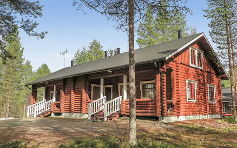 Levintähkä B: Hout, Verblijf, Blokhut, Woud, Schuur, Garden Gebouwen, Lariks, Bos, Beits