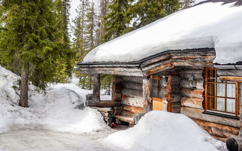 Kelo-Ville: Hout, Sneeuw, Winter, Verblijf, Freezing, Huis, Blokhut, Lariks, Siding