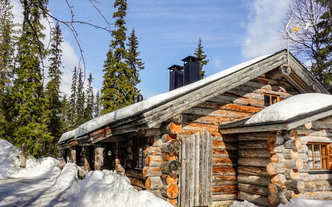 Kelo-Ville: Hout, Sneeuw, Winter, Verblijf, Freezing, Huis, Blokhut, Lariks, Siding
