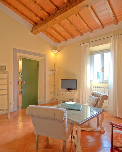 Collina 4