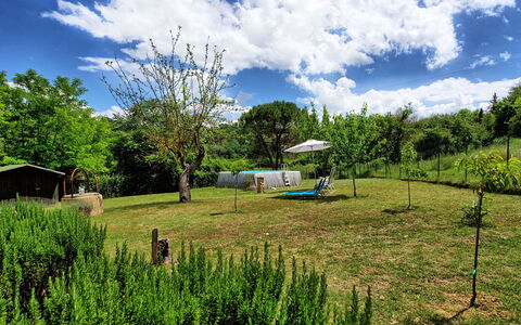 Villa Diletta: Natuurlijk Landschap, Vegetation, Groen, Eigendom, Land Lot, Grasland, Gras, Natuurgebied, Pasture, Natuurlijke Omgeving