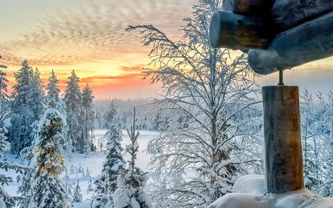 Riekonkätkä: Hout, Verblijf, Blokhut, Woud, Schuur, Garden Gebouwen, Lariks, Bos, Beits