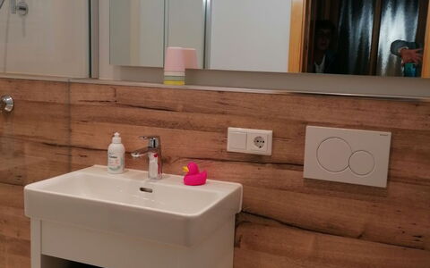 Mühlbach am Hochkönig 250: Eigendom, Wastafel, Kraan, Wastafel In De Badkamer, Loodgieterswerkinrichting, Badkamer, Hout, Interieur Ontwerp, Verdieping, Fotolijst