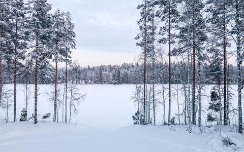 Inkeri: Hout, Sneeuw, Winter, Verblijf, Freezing, Huis, Blokhut, Lariks, Siding
