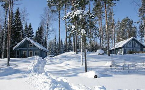 Safiiri: Hout, Sneeuw, Winter, Verblijf, Freezing, Huis, Blokhut, Lariks, Siding