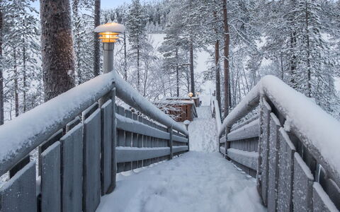 Karhulinna: Hout, Verblijf, Blokhut, Woud, Schuur, Garden Gebouwen, Lariks, Bos, Beits