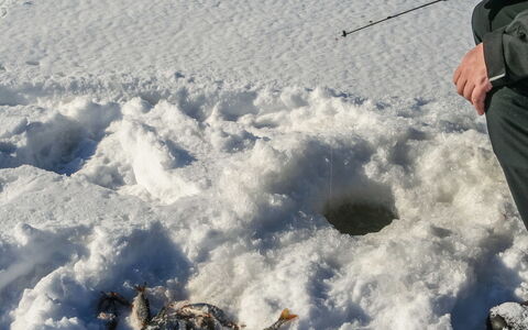 Huljakka: Hout, Sneeuw, Winter, Verblijf, Freezing, Huis, Blokhut, Lariks, Siding