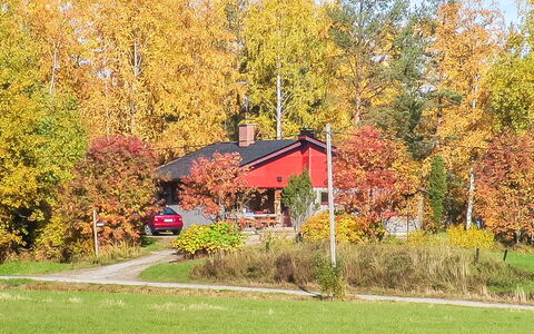 Viehko: Hout, Verblijf, Blokhut, Woud, Schuur, Garden Gebouwen, Lariks, Bos, Beits