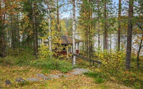 Iltaniemi: Boom, Natuur, Natuurlijke Omgeving, Hout, Afdeling, Vegetation, Woud, Plantengemeenschap, Bos, Trunk