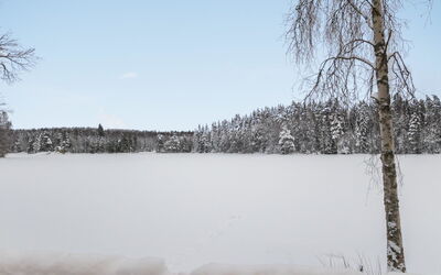 Lepikko